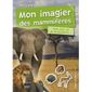 Mon imagier des mammifères