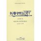 KAAMELOTT T.3 ; EPISODES 1 A 100