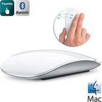 Apple Magic Mouse MB829Z