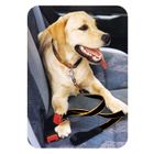 Attache ceinture pour chiens