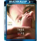 Blu-Ray Tree of life