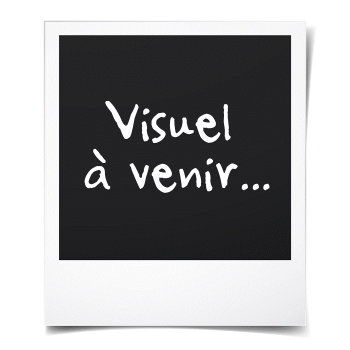 ARLEN NESS Veste nylon rider