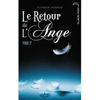 Le retour de l'ange t.2