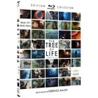 Blu-Ray Tree of life