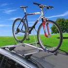 Green Valley Porte-Vélo de Toit Mountain T30