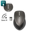 HP souris optique sans fil X5000 grise