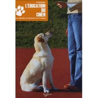 L'éducation du chien