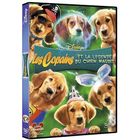 DVD Les copains et la légende du chien maudit