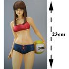 Dead or alive Xtreme Hitomi 23cm