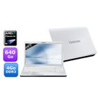 Toshiba Satellite C660D-17V