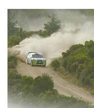 achat Auto WRC